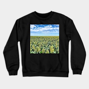 Sorghum Field Crewneck Sweatshirt